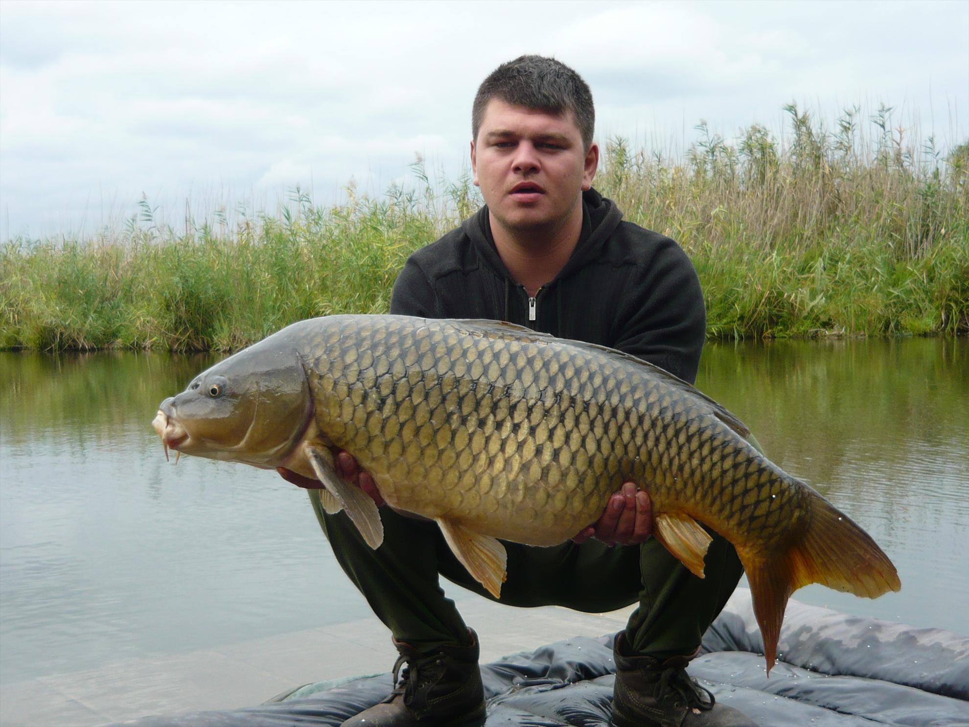 Best-2010 - p1020662.JPG